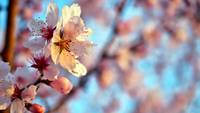 Quelle: unsplash.com