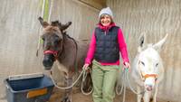 Quelle: Daniel Gerber
